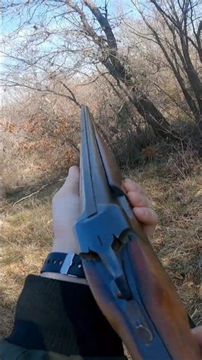 Woodcock Hunting for Food with GoPro and Shotgun