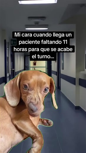 Memes Graciosos sobre Médicos y Pacientes