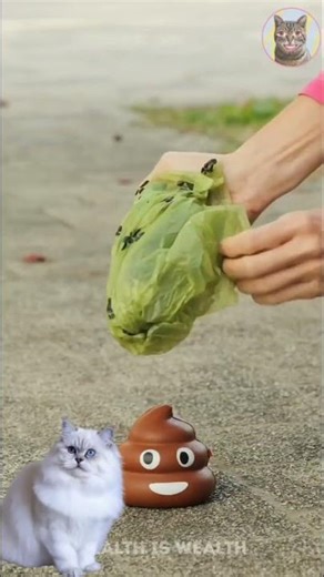 This is for my pet parents 😱 #PetLife