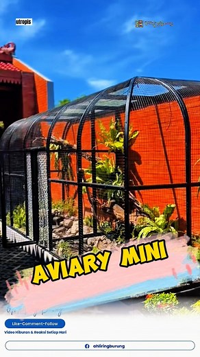 Kandang aviary mini yang baru selesai ini #aviarymini #aviarybirds | Ahli Ring Burung