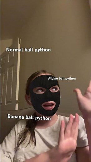 Which ball python is your fav ???#ballpython