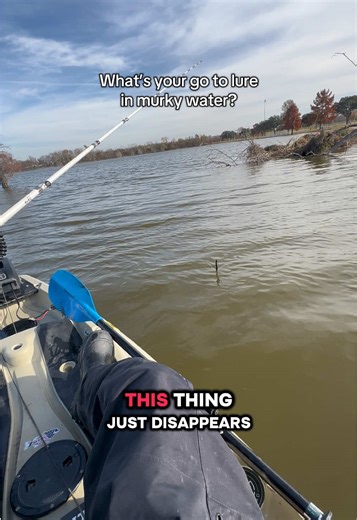 Best Lures for Fishing in Murky Water