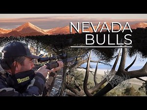 Nevada Bulls - Elk Hunt in Western Nevada