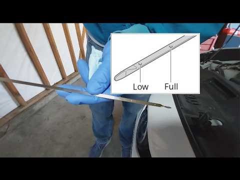 Checking Oil and Coolant Levels