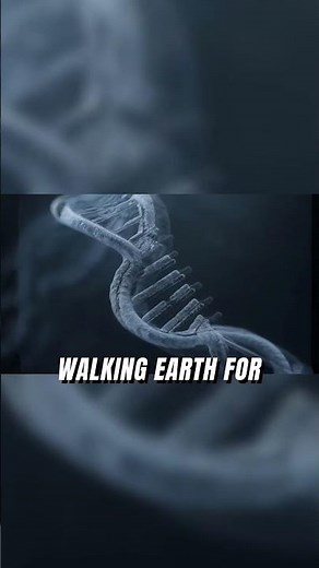 A Pinky Bone Smaller Than Your Thumbnail Revealed a Lost Human Species