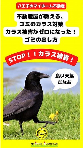カラスにゴミを荒らされた！実際にカラス被害が防げるようになった、おすすめのカラス対策とは？～八王子市のマイホーム不動産～不動産売買の専門店
