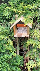 6K views · 56 reactions | Let the pollination magic begin!  These bees are happy to start exploring their new home—and soon, those tubes will start filling up with cocoons. Each nesting tubes holds about 5 cocoons each. With 140 tubes in Kind Bee House, that's almost 700 future pollinators! 勞 | Kind Bee Farms | Facebook