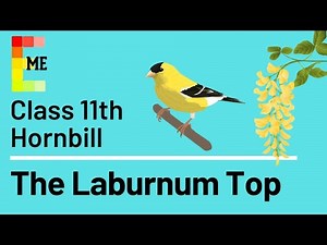 Summary Poem 2 - The Laburnum Top Video Lecture - English Class 11
