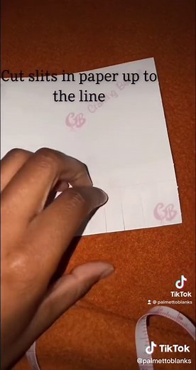 Andrea | PalmettoBlanks on TikTok