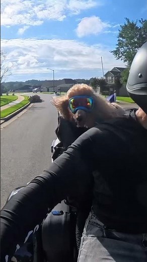 Harley Davidson Tri-Glide ride with poodle #motorcycle #dog ‪@harleydavidson‬