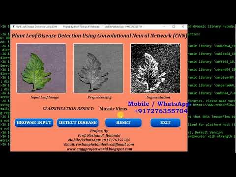 Python Code for Plant Leaf Disease Detection Using CNN Convolutional Neural Network Project Code