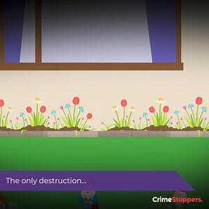 3K views · 118 reactions | The residents of #SafeStreet are so clued...