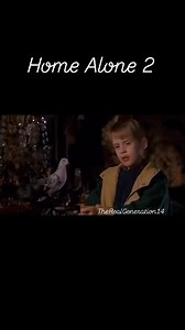 2.5K reactions · 134 shares | Home Alone 2: Kevin & The Pigeon Lady ❄️ #homealone #christmas #holiday #newyork #movies #nostalgia #macaulayculkin #90s #90smovies #90skid #fyp #trending #motivation #love #threads #fblifestyle #reels | 80’s & 90’s Real Generation | Facebook
