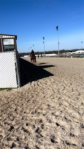 Bimbo (@bimbo046)’s videos with sonido original - B Music Group