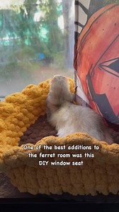I always find at least one of the ferrets in the window seat, but more often than not, it’s Lucy. Unfortunately, the weather prohibits us from going outside a good portion of the year, but the ferrets really like to lay in sun and look out the window. A traditional window perch for cats wouldn’t work well in our windows or for the ferrets. So I made them a seat from a wooden bed/lap table, a drill, screws, and wire. I then made them a fleece pad and added one of their favorite crochet beds from 