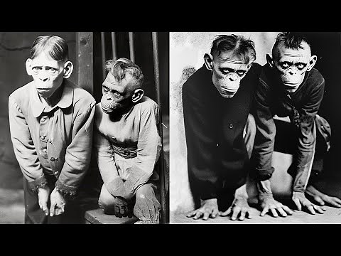 Top 20 Crossbreeding Experiments from Hell!