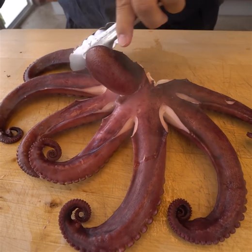 How to Prep Octopus Like a Sushi Master! | Hiroyuki Terada - Sushi Master