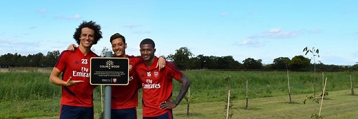 Arsenal FC are the greenest team the world has ever seen*