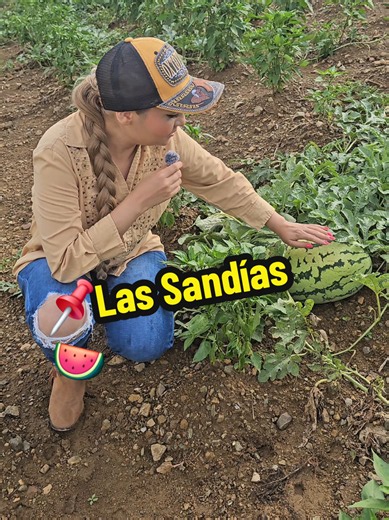 Sandías deliciosas: cómo elegir y disfrutar las mejores sandías
