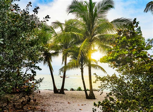 Miami foreclosures surge