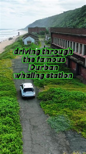 Explore the Best Hiking Trails at Durban Whaling Station