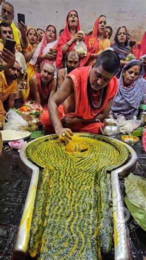 Jai shiv Jai baba baidyanath🙏🕉#shorts#joytirlig#babadham#आज का प्रात: कालीन का दिव्य दर्शन🙏26/7/26
