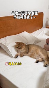 #funnycomedycat | Funny Comedy Cat