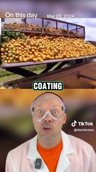 Discovering Shellac: The Surprising Ingredient in Food