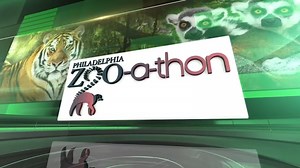 Zoo-a-Thon: Behind the scenes with the Philadelphia Zoo