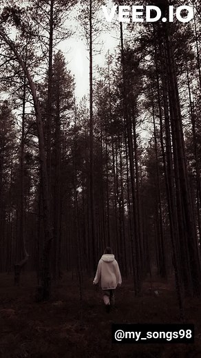 Introdução à Série Dark - GoodBye de Apparat