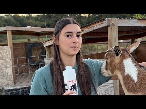 What Causes Diarrhea In Goats?