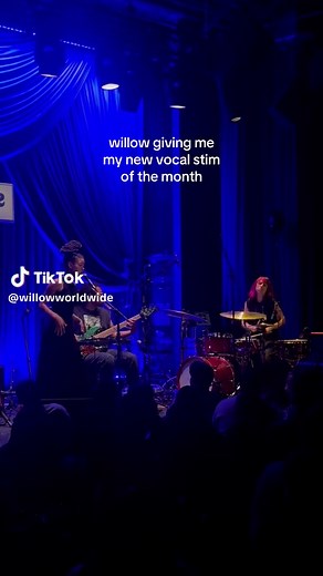 Willow Smith's Insane Vocal Performance at Concert