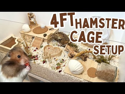 Set Up a 4ft Hamster Cage With Me