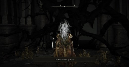 How to get into the Tower of Shadow in Elden Ring Shadow of the Erdtree