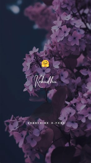 Koocham konjam kekudhuYekam ✨💗 whatsapp status video song lyrics status video tamil