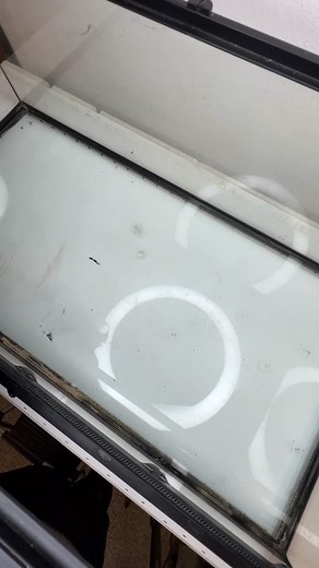 Were SO stoked to watch these incredibly rare and unique lizards grow! 🦎