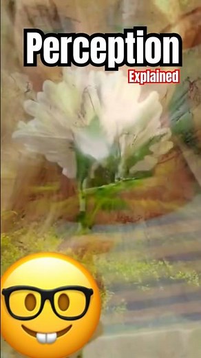 What is Perception? Perception Explained Definition #perception