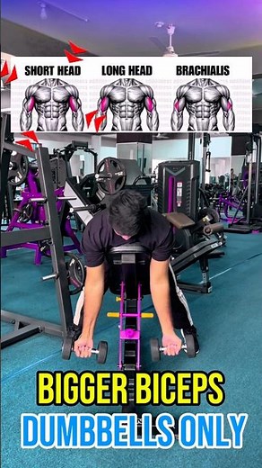 How to Build Bigger Biceps with ONLY Dumbbells (Full Workout) #biceps #workouttips