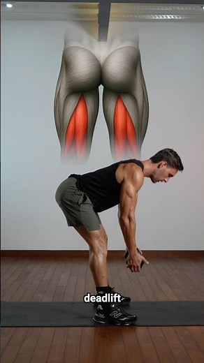 Lower body exercises at home ✅