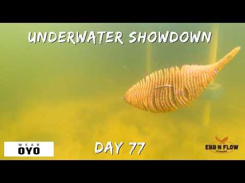 GEECRACK BELLOWS GILL vs 6TH SENSE PANORAMA (Underwater Lure Action Comparison)