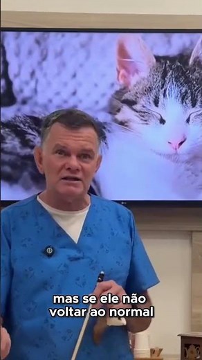URGENT: CAT BREATHING THROUGH ITS MOUTH can be FATAL! Find out what to DO NOW!