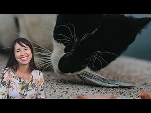 Can cats eat fish? A look at the risks and benefits