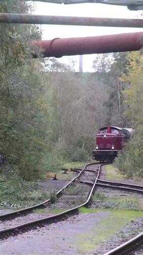 212 von Hamm im Landschafts Park Nord ----------------------------------- Mit dabei @Zugfotograf Julian ----------------------------------- @𝐁𝐚𝐬𝐭𝐢 @Train Vision @TrainTrackerGermany🚂 @Marcello 🇩🇪🦅 @Trainspotting Gäubahn @𝙟𝙨𝙩𝙇𝙞𝙣𝙠 🇩🇪 @GermanRail-Spotter🇩🇪 @Jason_Trainspotter🚂📸 @trainspotter_hessen @𝖆𝖚𝖝_𝖙𝖗𝖆𝖎𝖓𝖟🇩🇪🚆 @𝘿𝙖𝙢𝙞𝙖𝙣💫🇩🇪🦅@𝗞𝗶𝗹𝗹𝗶𝗮𝗻—𝗘𝗧𝟰𝟮𝟯™ @Lokführer Chang @Louis 📸 @𝐋𝐚𝐬𝐬𝐞 🇩🇪🫨 @Mechterstädter Siegmar 🇩🇪🐕 @MikailgunDB @Ostdeutscher_B