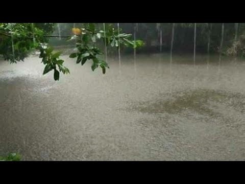 Technical Solution BD is live Raining 🌧️☔🌧️☔