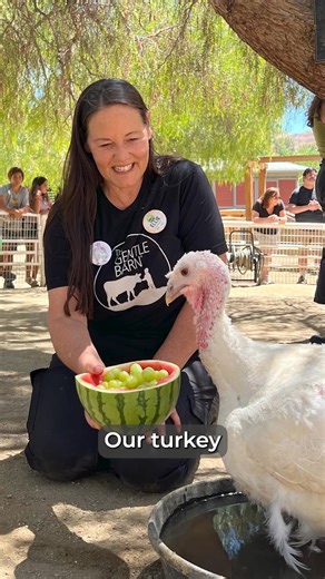 4.7K views · 395 reactions | Before our turkey, Sun passed away at the age of nine, I did a final Animal Communication with her and she asked me to pass this message on to you. | Ellie Laks | Facebook