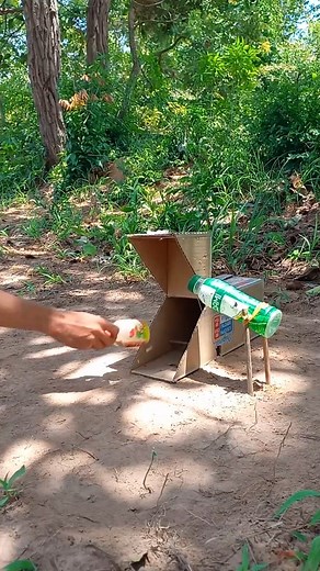 Super Quick DIY Parrot Trap Using Water Bottle and Cardboard | Animals Trap