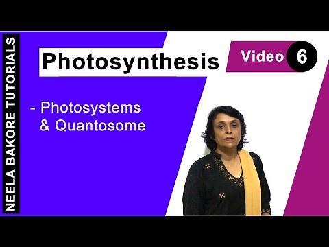 Photosynthesis | NEET | Photosystems & Quantosome | Neela Bakore Tutorials