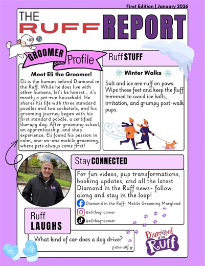 ✨January’s Ruff Report is here!✨ A monthly newsletter bringing you behind the scenes at Diamond in the Ruff, helpful pet care tips, and plenty of personality. Thanks for being part of our pack! 🐾🐩