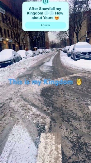 This is my Kingdom after Snow ❄️ Falls in New York on January 26, 2026 😍#staysafe #snow #staywarm