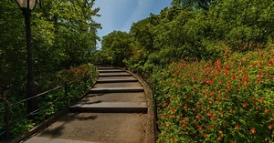 Dene Slope